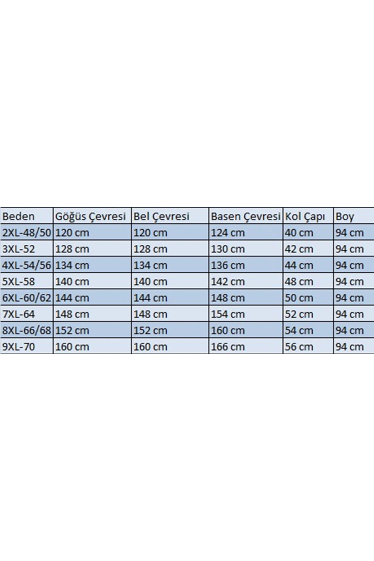 53052 Büyük Beden Rachel Kaban - Siyah