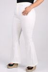 9110 Plus Size Flared Jeans - Anthracıte